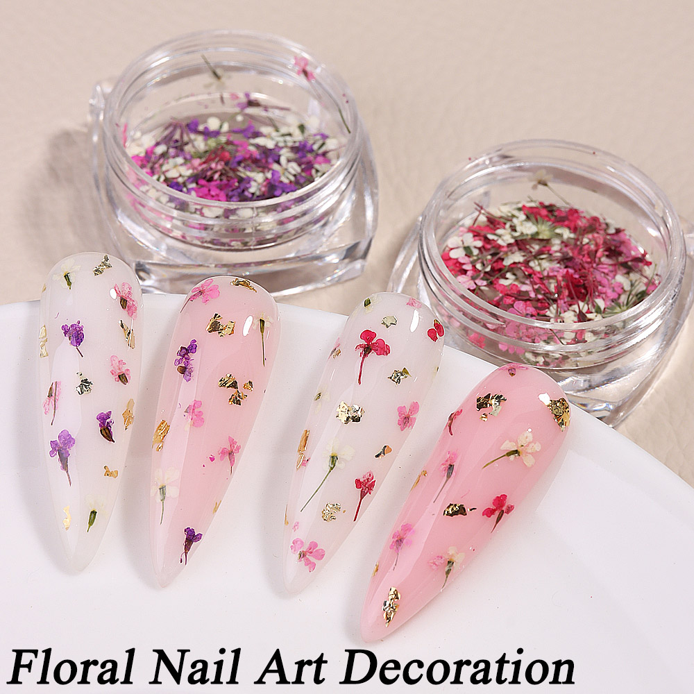 Mixed Colors Gypsophila False  – Dried Flower Bulk recenzja i cena