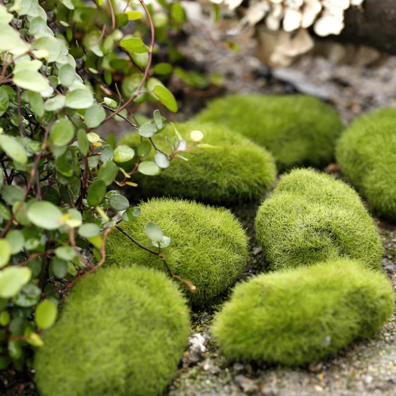 4Pcs Micro Landscape Artificia – Terrarium Moss Art recenzja i cena