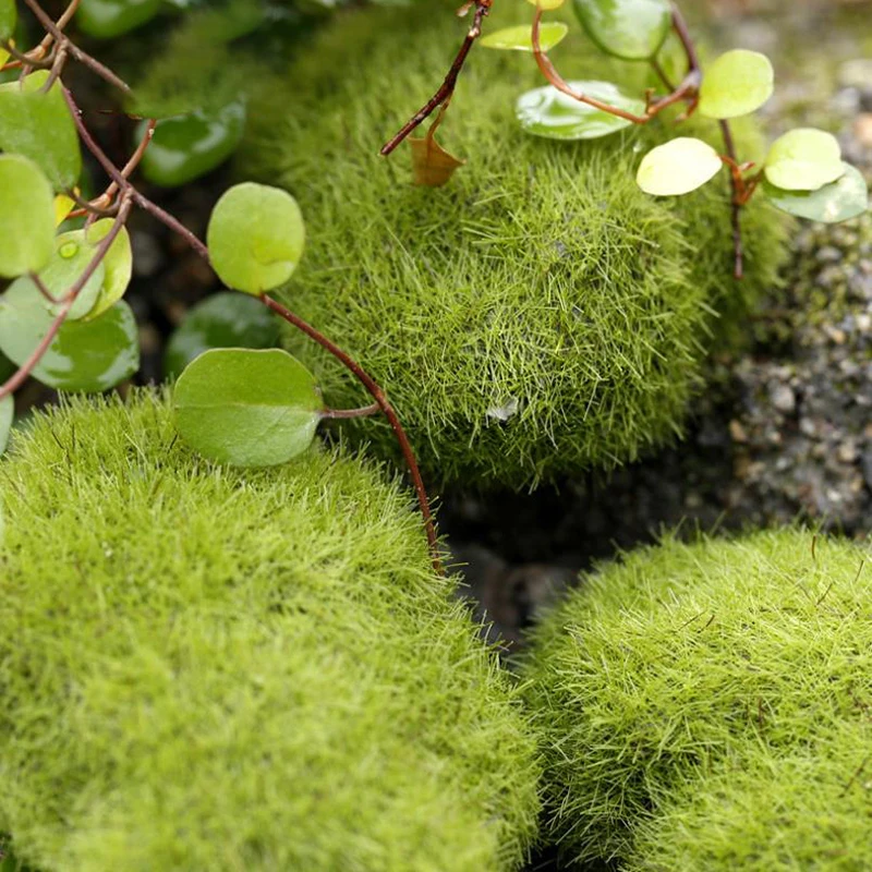 4Pcs Micro Landscape Artificia – Terrarium Moss Art recenzja i cena