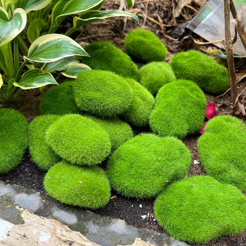 5/30pcs Simulation Moss Stone  – Terrarium Moss Art recenzja i cena