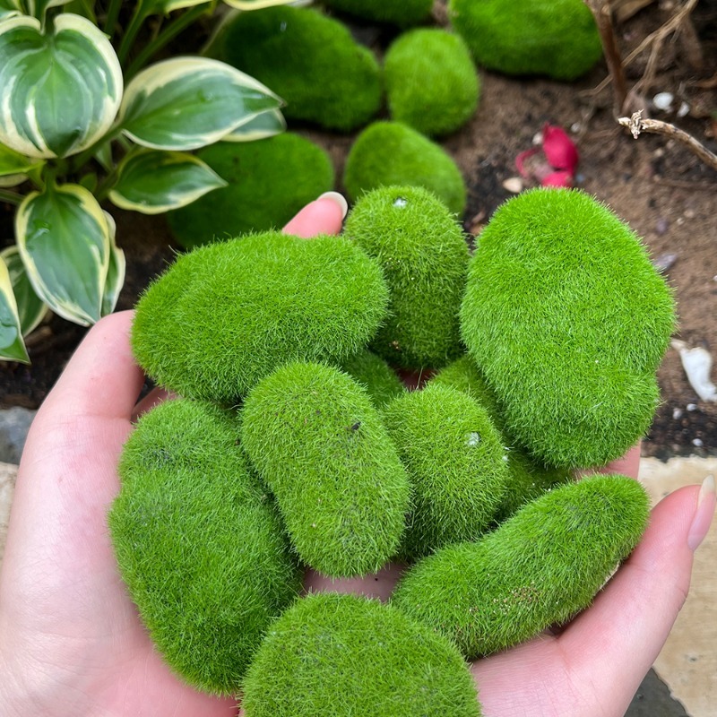 5/30pcs Simulation Moss Stone  – Terrarium Moss Art recenzja i cena