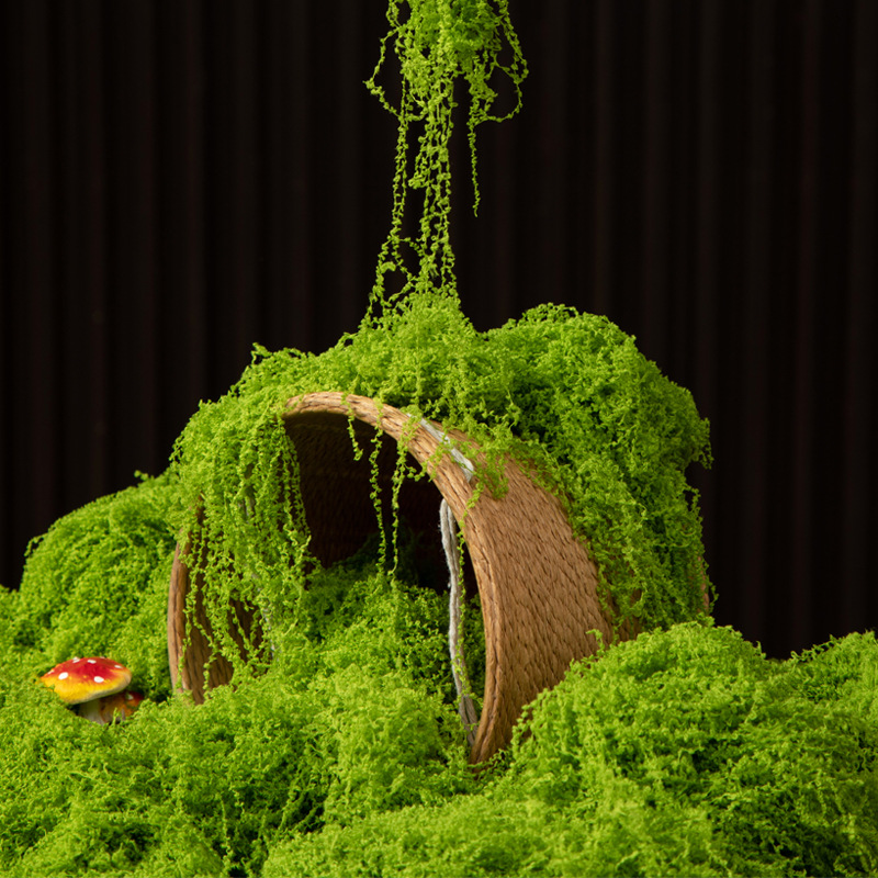 200g Eternal Life Moss DIY Cra – Terrarium Moss Art recenzja i cena