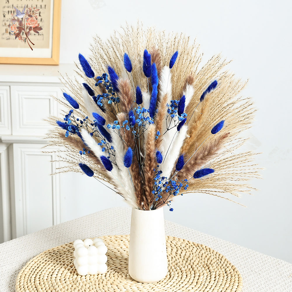 70 Stem Blue Fluffly Rabbit Ta – Dried Flower Bulk recenzja i cena