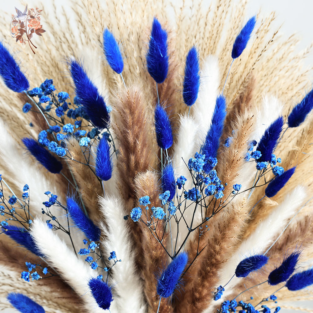 70 Stem Blue Fluffly Rabbit Ta – Dried Flower Bulk recenzja i cena