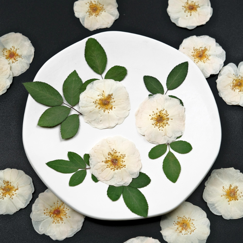 6pcs,9pcs,Nature White Rose Pr – Dried Flower Bulk recenzja i cena