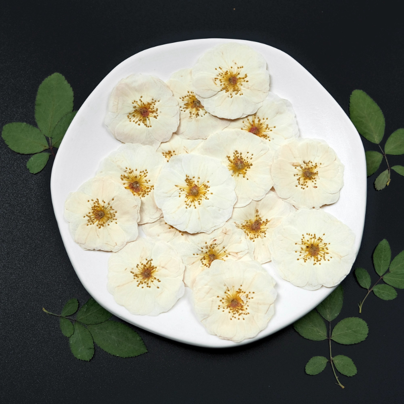 6pcs,9pcs,Nature White Rose Pr – Dried Flower Bulk recenzja i cena