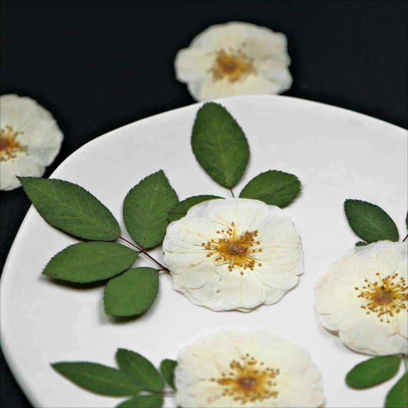 6pcs,9pcs,Nature White Rose Pr – Dried Flower Bulk recenzja i cena