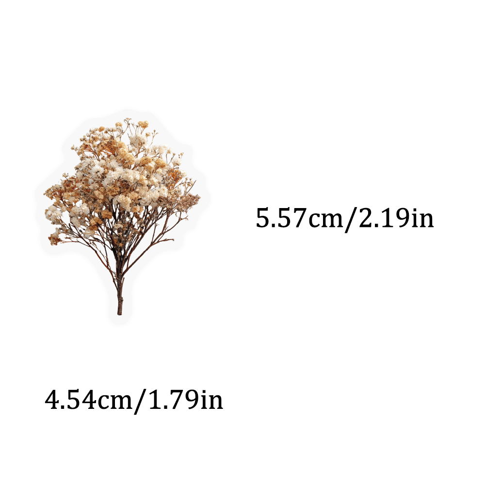50PCS Retro Color Dried Flower – Dried Flower Bulk recenzja i cena