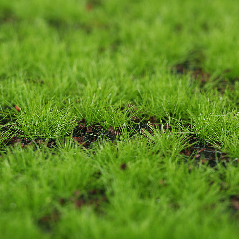 Artificial Moss Fake Green Mos – Terrarium Moss Art recenzja i cena