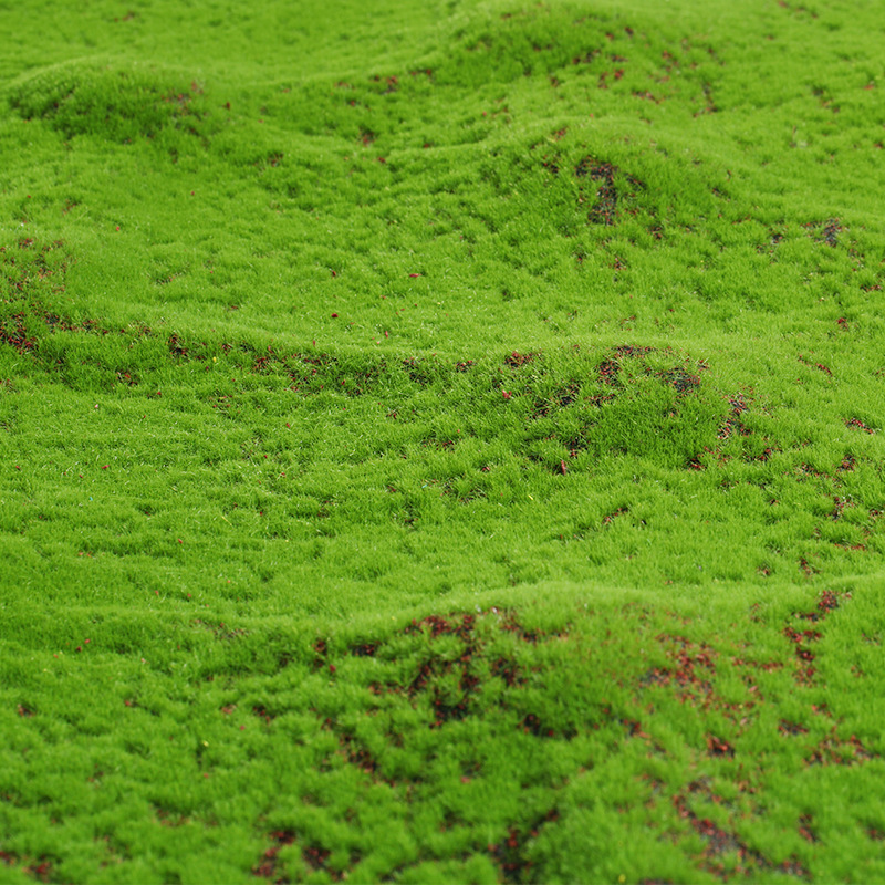 Artificial Moss Fake Green Mos – Terrarium Moss Art recenzja i cena