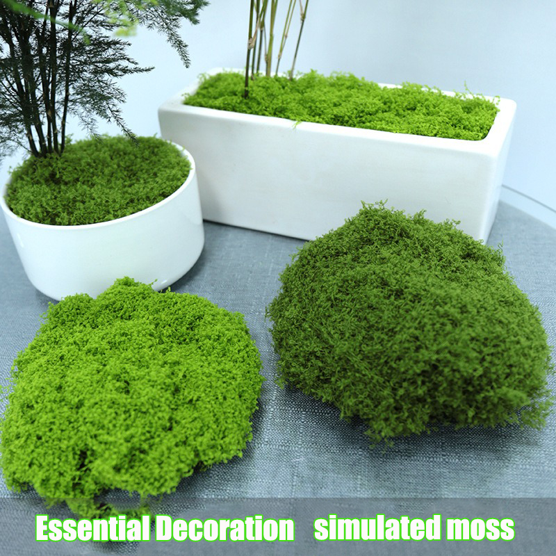 Artificial simulation of moss  – Terrarium Moss Art recenzja i cena