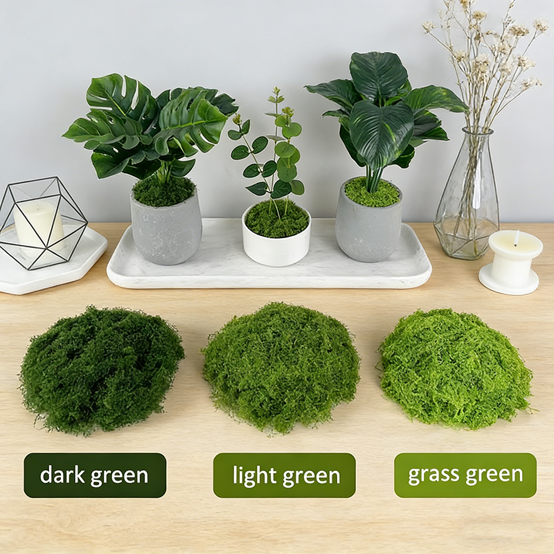 Artificial simulation of moss  – Terrarium Moss Art recenzja i cena