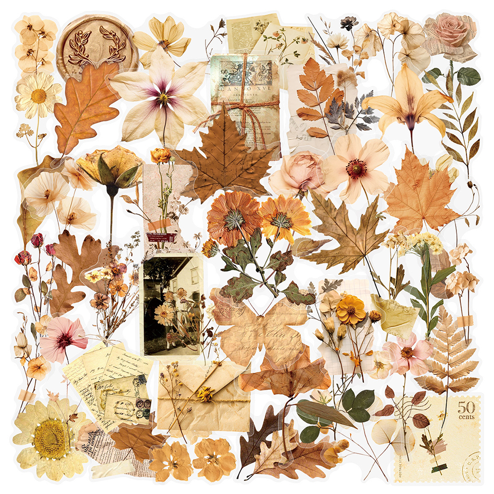10/30/50pcs Transparent Dried  – Dried Flower Bulk recenzja i cena