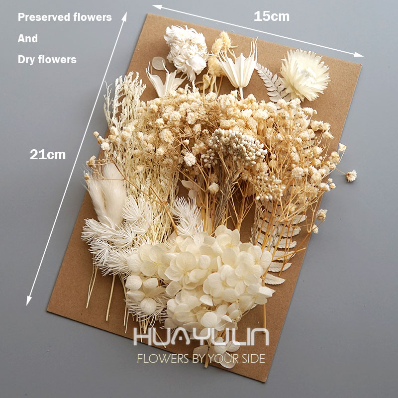 1 Pack Artificial Plants Dried – Flower Preservation Resin recenzja i cena