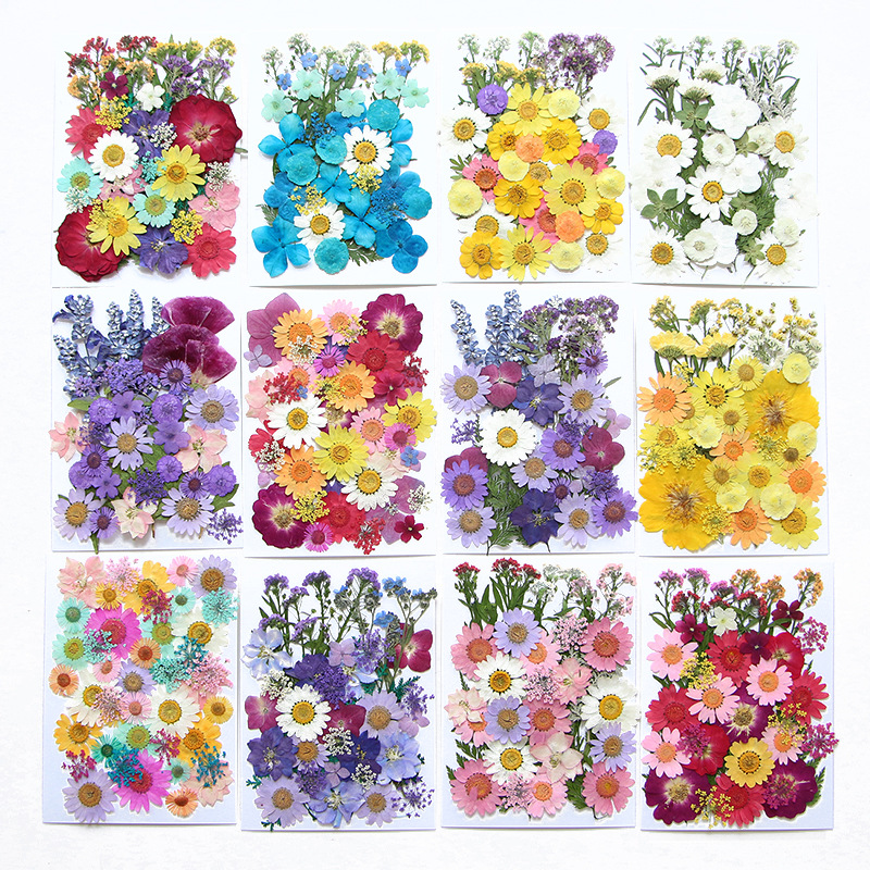 6pcsDried Flowers Real Natural – Flower Preservation Resin recenzja i cena
