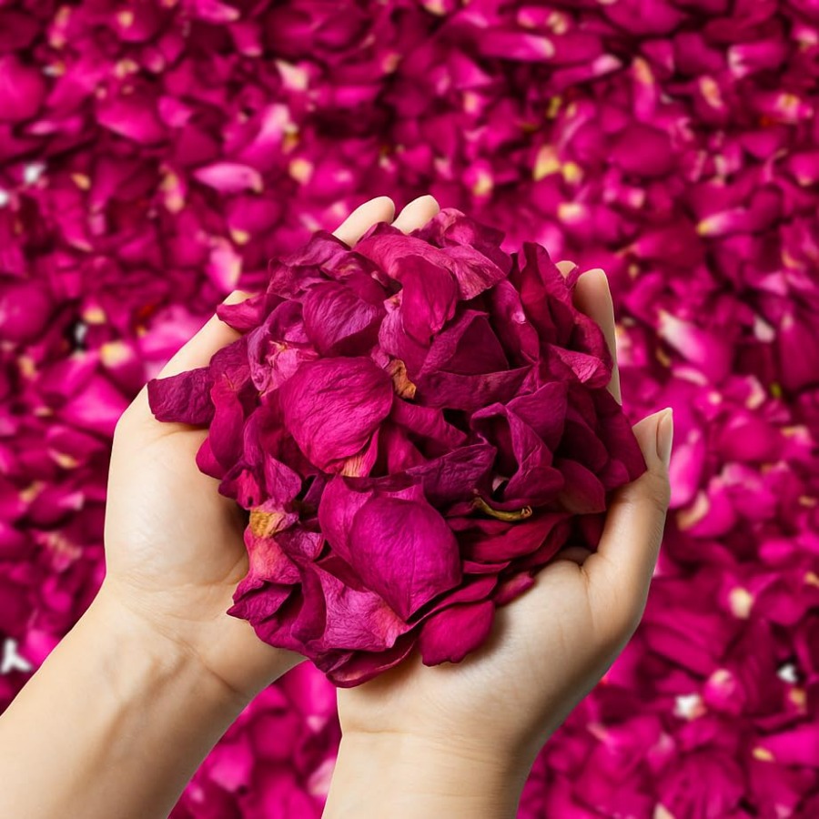 Dried Rose Petals Bulk 5oz Nat – Dried Flower Bulk recenzja i cena