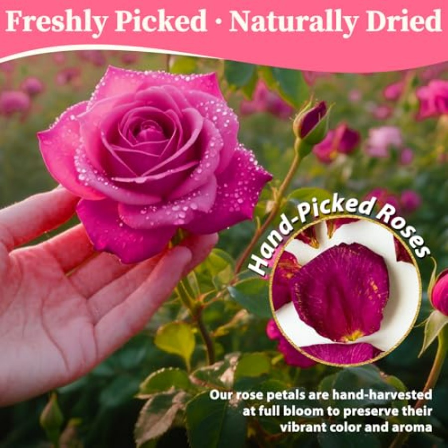 Dried Rose Petals Bulk 5oz Nat – Dried Flower Bulk recenzja i cena