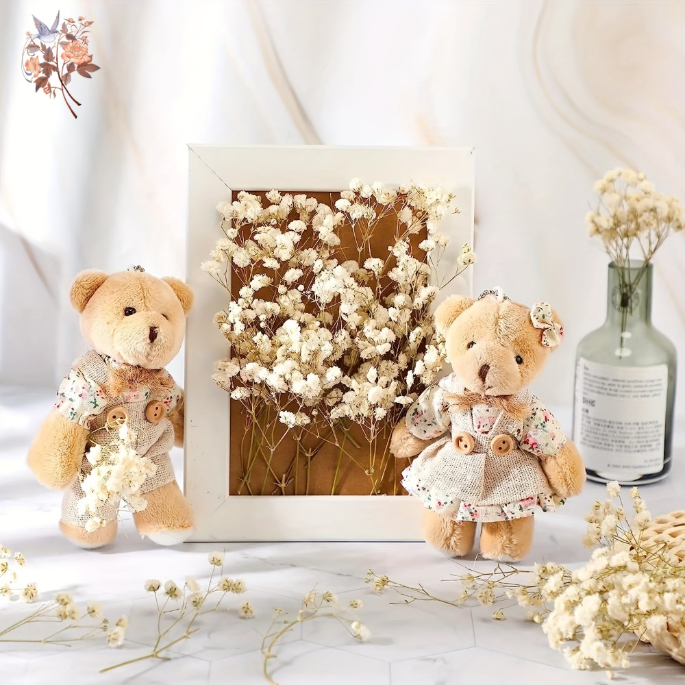 100pcs Mini Dried Baby's Breat – Dried Flower Bulk recenzja i cena