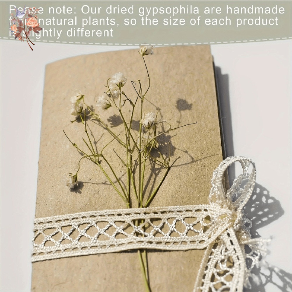 100pcs Mini Dried Baby's Breat – Dried Flower Bulk recenzja i cena